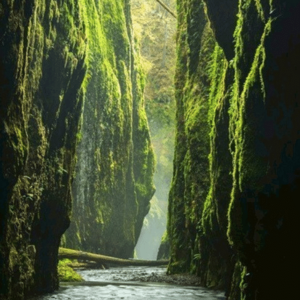 The Haven Sanctuary